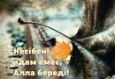 Несібені адам емес Алла береді!