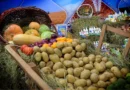 Агроөнеркәсіптік  кешенді дамыту – өңірлік экономика  басымдығы