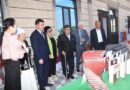 Кітапқұмарларға құрмет көрсетілді