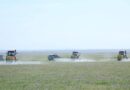 АРЫСТА МАРОККО ШЕГІРТКЕСІНЕ ҚАРСЫ КҮРЕС ҚЫЗУ ЖҮРІП ЖАТЫР