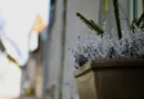 Қар жауып, үсік жүреді: 22 сәуірде ауа райы қандай болады