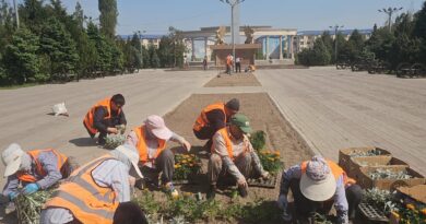 Таразда екі айлық сенбілікке 29 000-нан аса адам қатысты