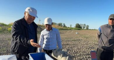 Ерлан егістік алқабын аралады