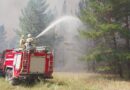 ТЖМ азаматтарды табиғатта өрт қауіпсіздігі ережелерін сақтауға шақырады