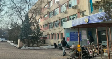 Емханадағы балаға қалай қамқорлық жасалады?