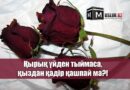 Қырық үйден тыймаса, қыздан қадір қашпай ма?!