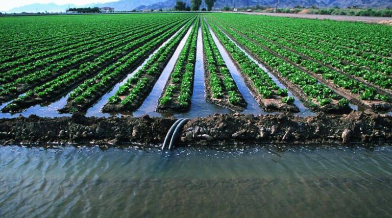 Тұтынушылардың құқығын бұзған суару суын жеткізушілерге 17,8 млн теңге айыппұл салынды