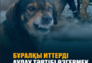 ҚАЗАҚ БОЛҒАННАН ҚАРАЛА ИТ БОЛҒАН АРТЫҚ ПА? ҚАЗАҚ БОЛҒАННАН ҚАРАЛА ИТ БОЛҒАН АРТЫҚ ПА?