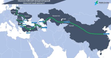Контейнерные перевозки по Среднему коридору выросли на 58% за год